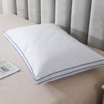 Royal Velvet European Down Blend Pillow, White - Image 2