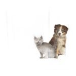 Levoit Vital 200s-P Air Purifier with Pet Mode White Gray - Image 5