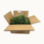 Pengyee Artificial Greenery Garland, 6 Pack, 5.57ft